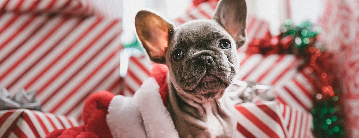 メインビジュアル4